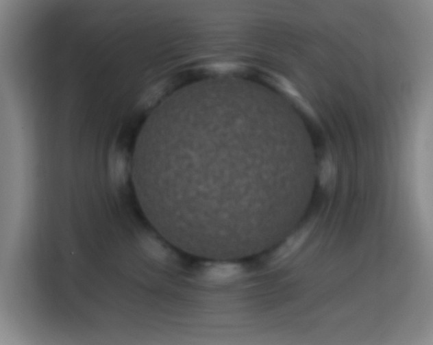 X0000113950476200910021509