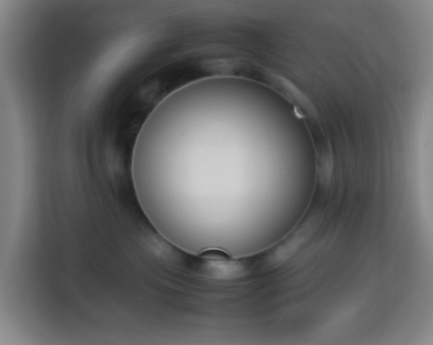 X0000113950477200910021509