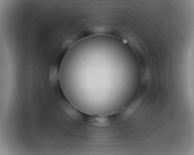 X0000113950478200910021509