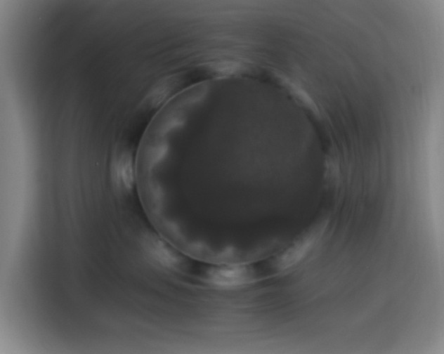 X0000113950479200910021509