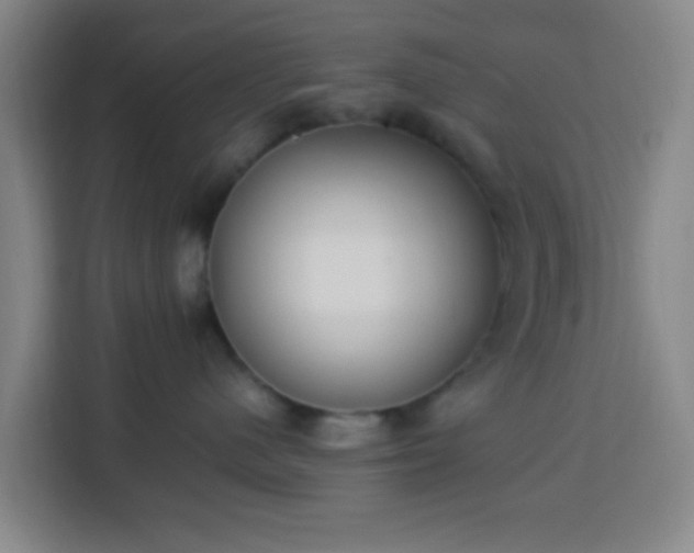 X0000113950480200910021509