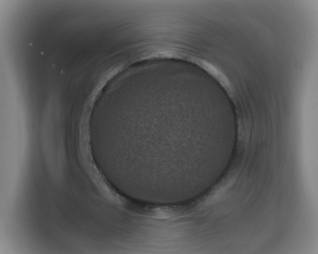 X0000113950481200910021509