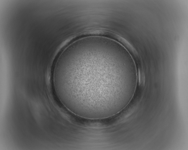 X0000113950483200910021509