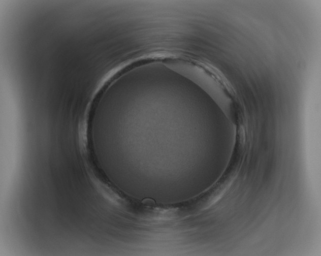 X0000113950484200910021509