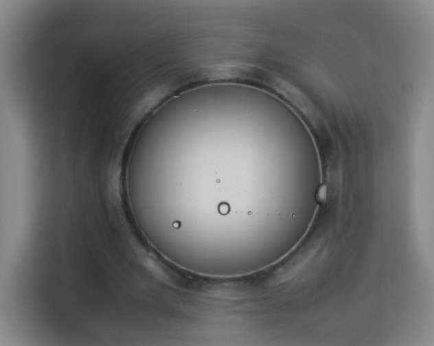 X0000113950485200910021509