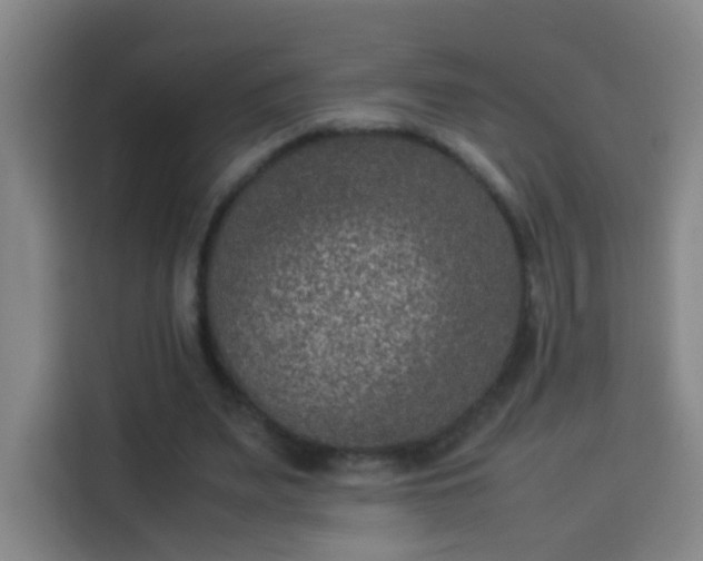 X0000113950487200910021509
