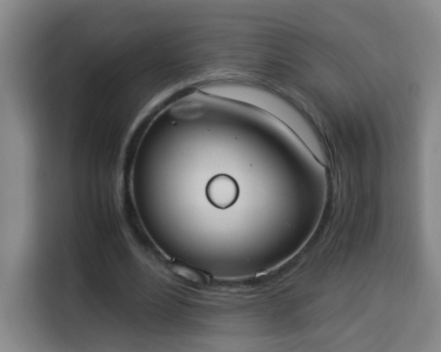 X0000113950488200910021509