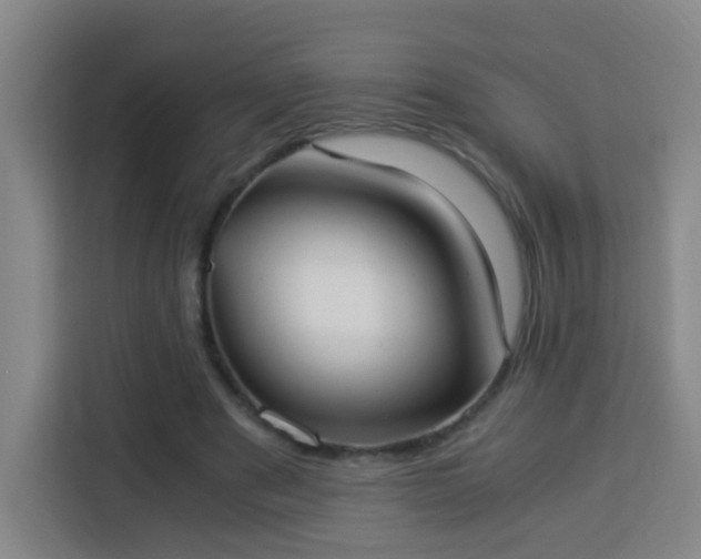 X0000113950489200910021509