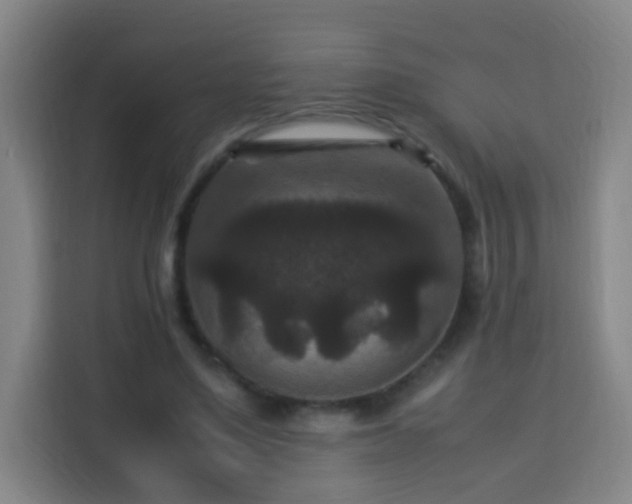 X0000113950491200910021508