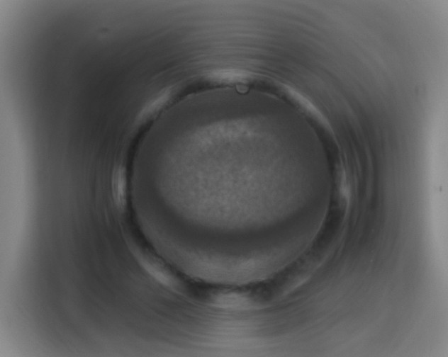 X0000113950494200910021508