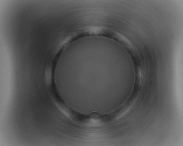 X0000113950496200910021508