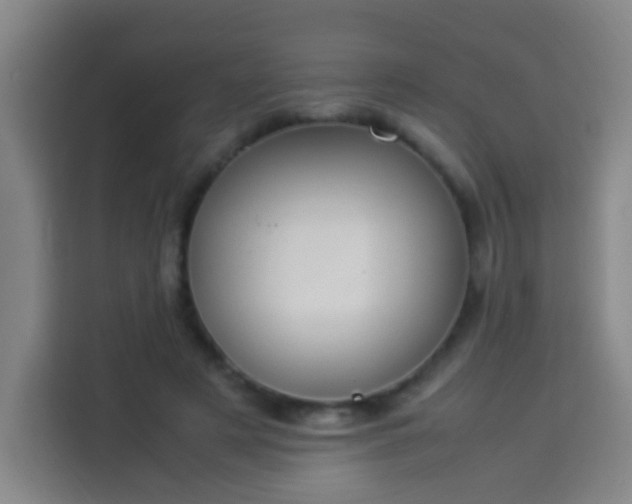 X0000113950497200910021508