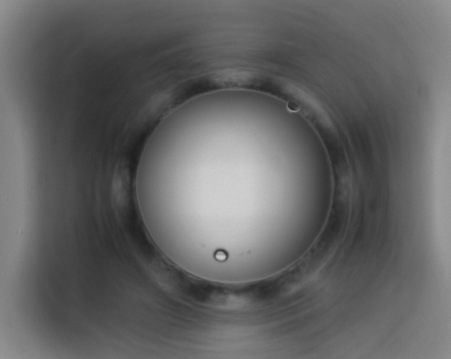 X0000113950498200910021508