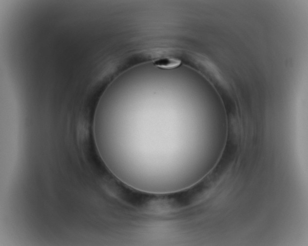 X0000113950499200910021508