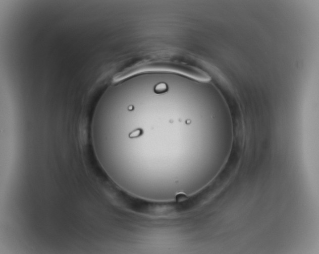 X0000113950501200910021508
