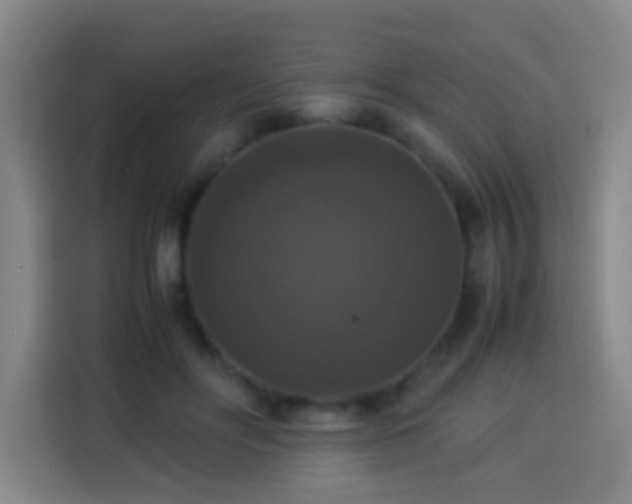 X0000113950502200910021508