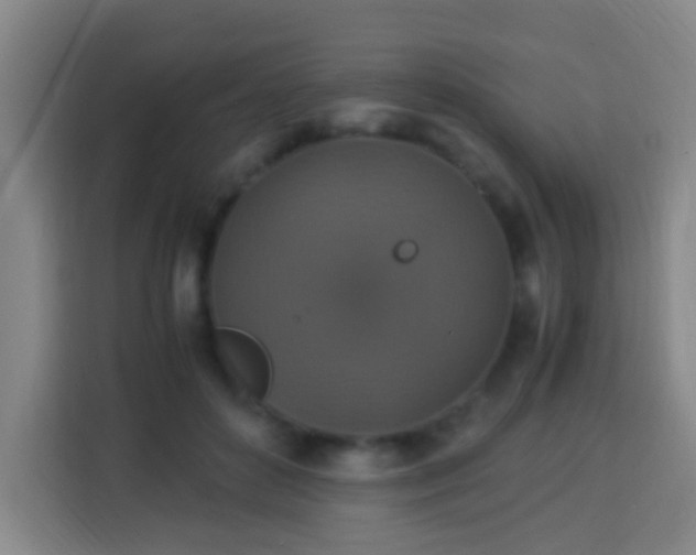 X0000113950504200910021508