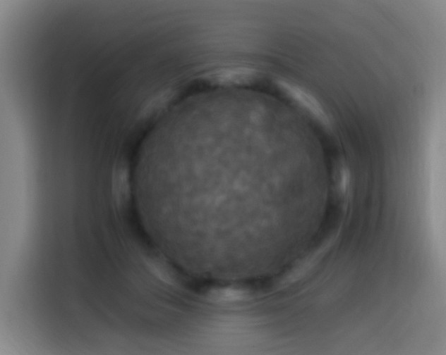 X0000113950506200910021508