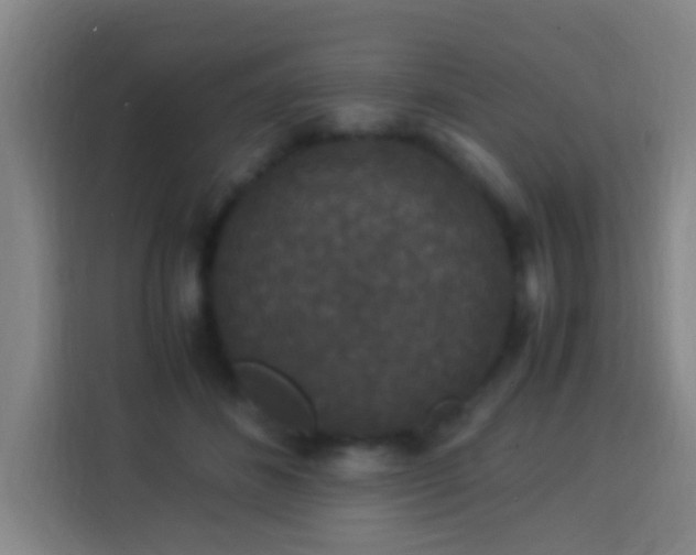 X0000113950508200910021508