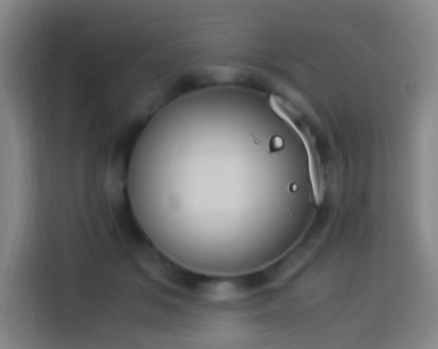 X0000113950509200910021508