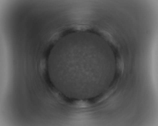 X0000113950511200910021508