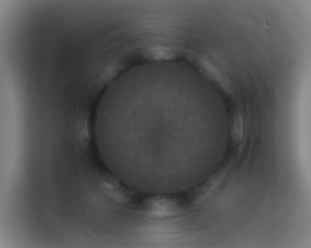 X0000113950512200910021508