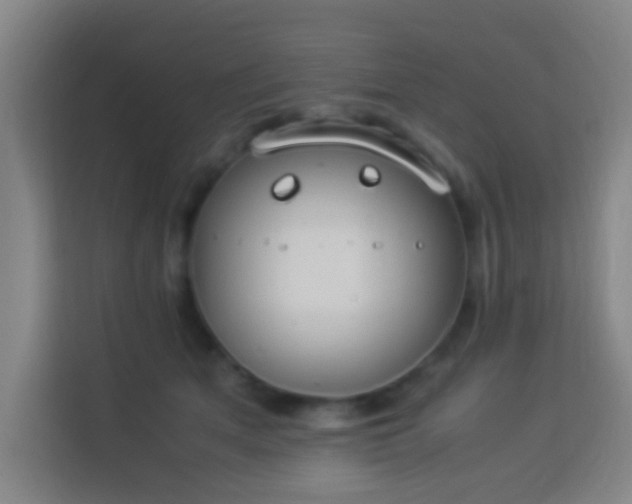X0000113950513200910021508