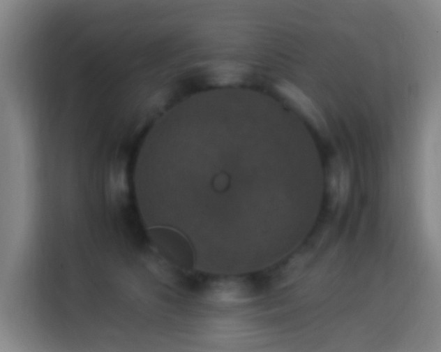 X0000113950516200910021508