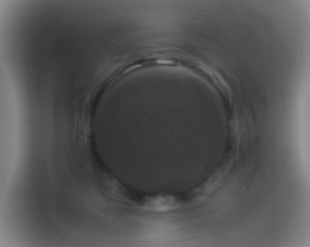 X0000113950517200910021508