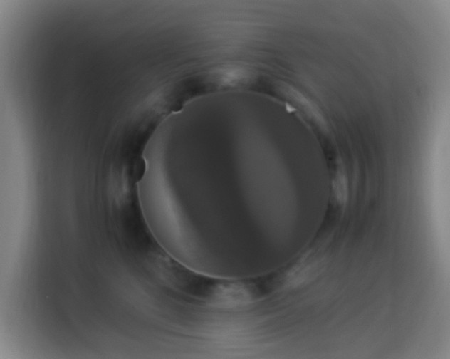 X0000113950520200910021508