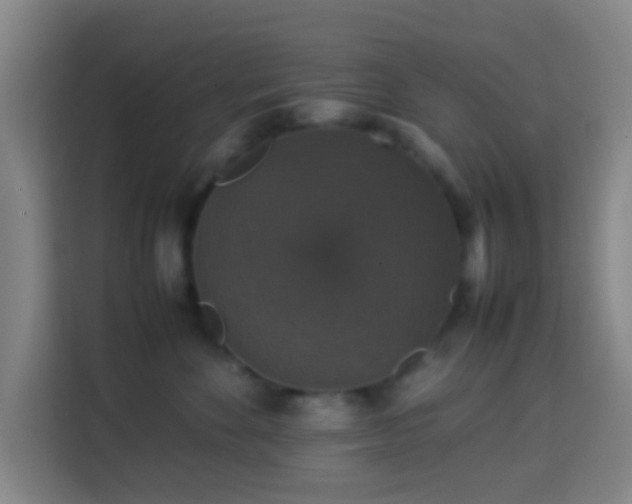 X0000113950524200910021508