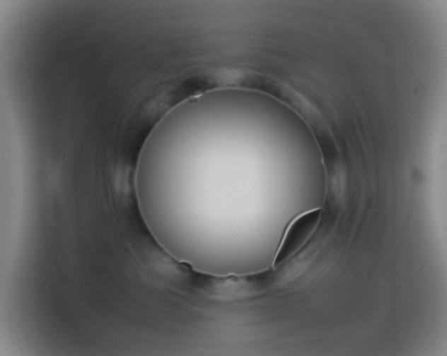 X0000113950525200910021508