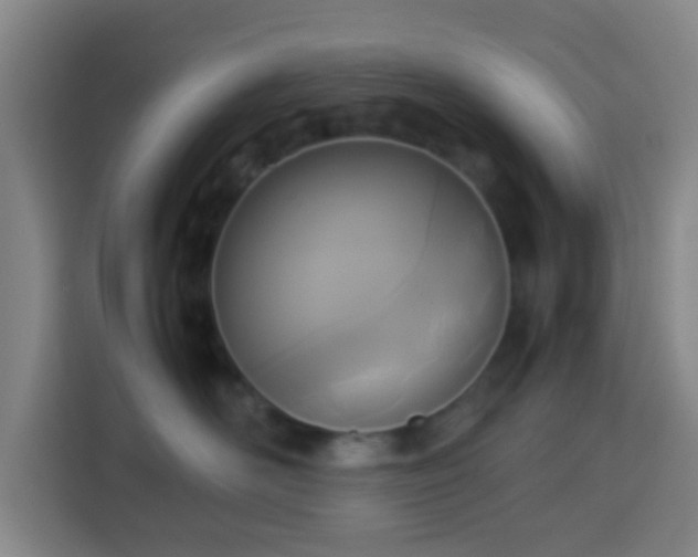 X0000113950526200910021508