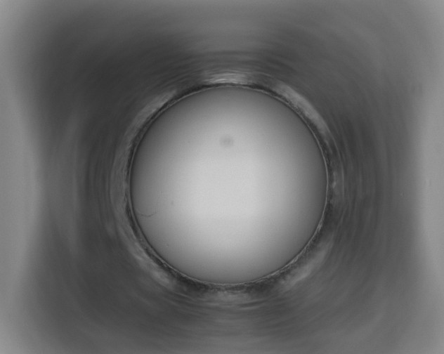 X0000113950529200910021507
