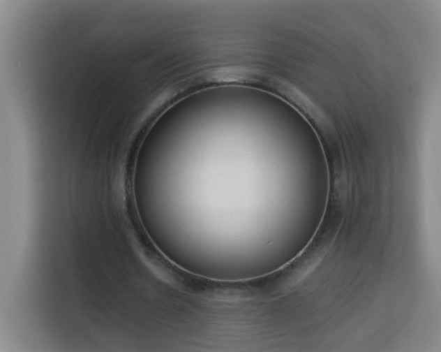 X0000113950530200910021507