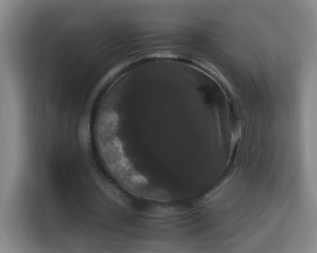 X0000113950531200910021507