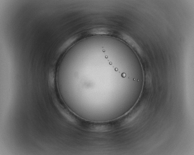 X0000113950533200910021507