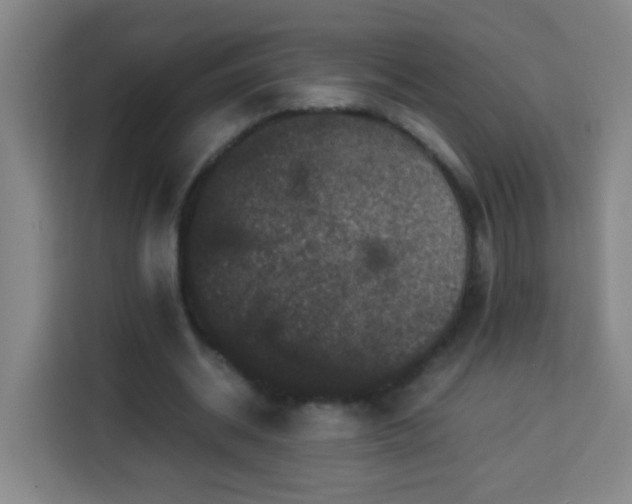 X0000113950534200910021507