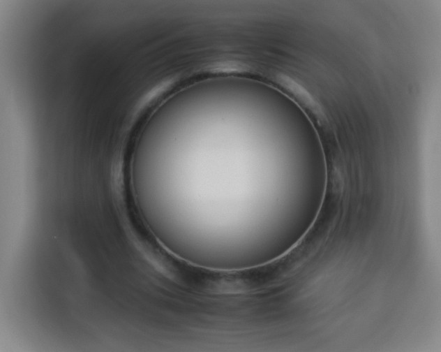 X0000113950535200910021507