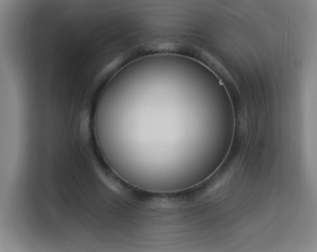 X0000113950538200910021508