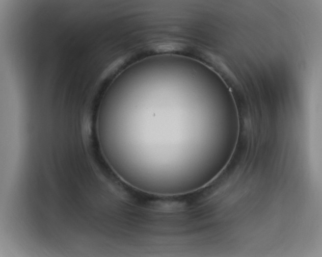 X0000113950539200910021508