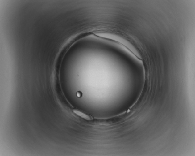 X0000113950540200910021508