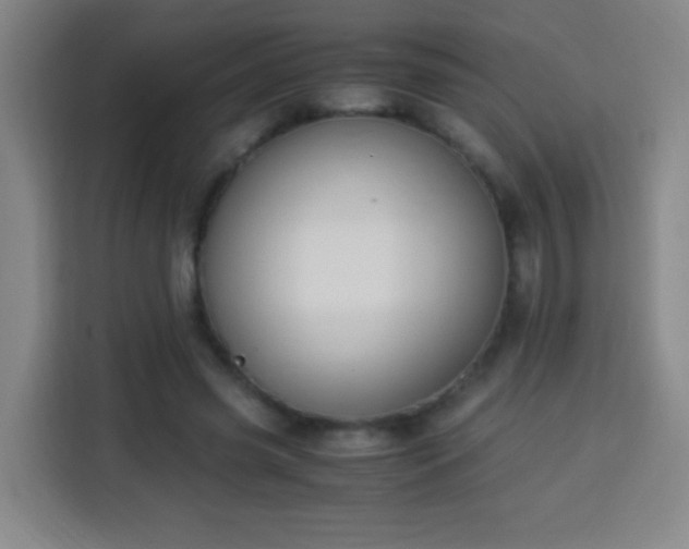 X0000113950541200910021508