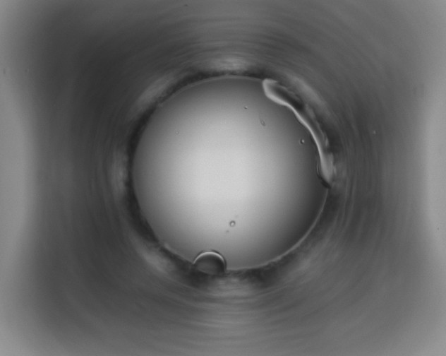 X0000113950544200910021508