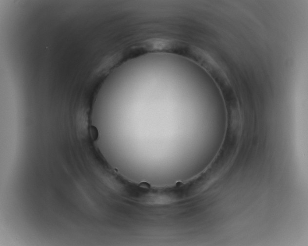 X0000113950545200910021508