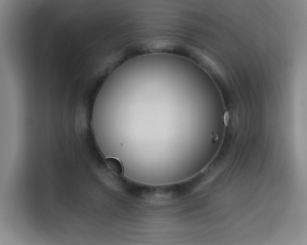 X0000113950546200910021508