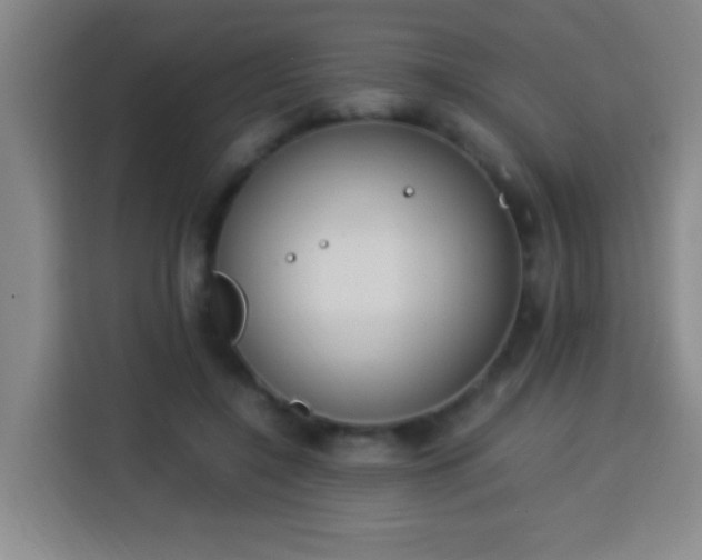 X0000113950548200910021508