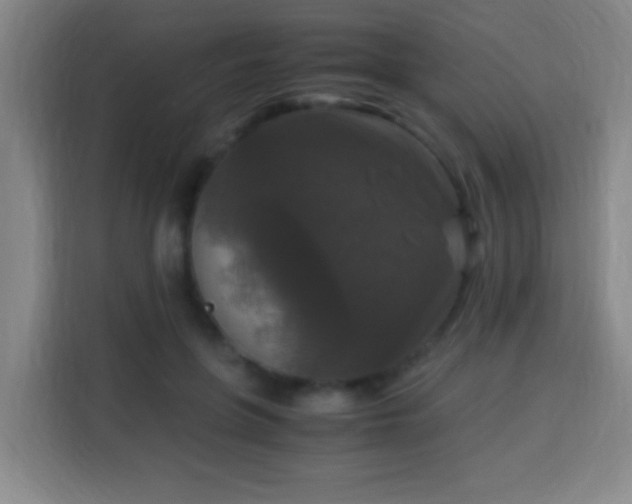 X0000113950551200910021508