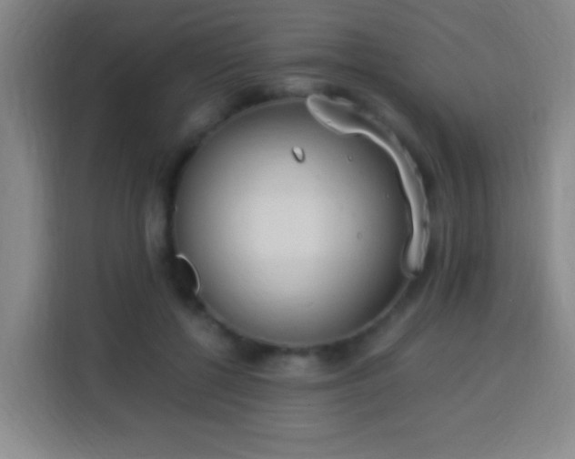X0000113950552200910021508