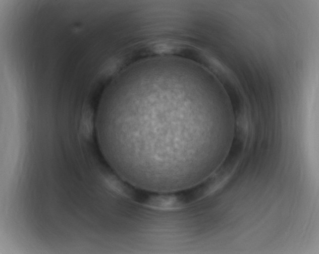 X0000113950554200910021508